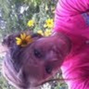 Meet your Posher, Ashlie